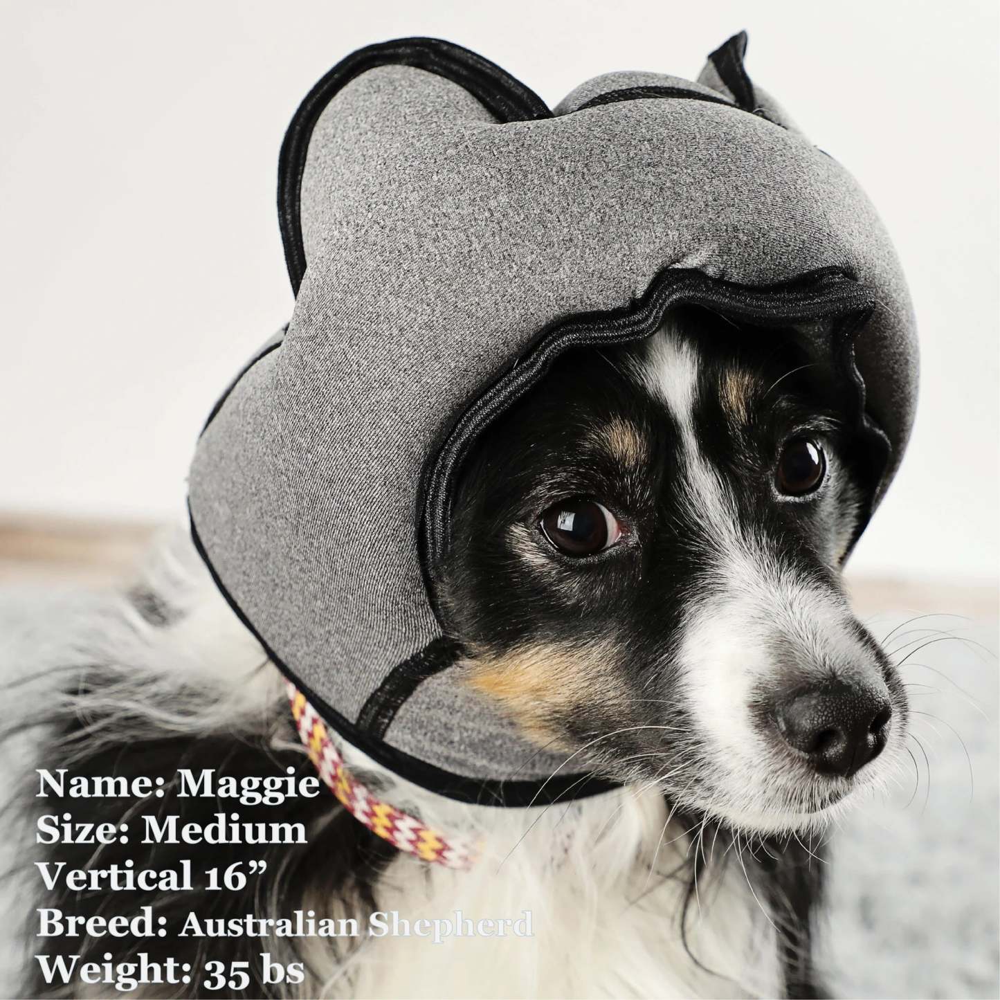 Noise-Cancelling Headphones For Dogs