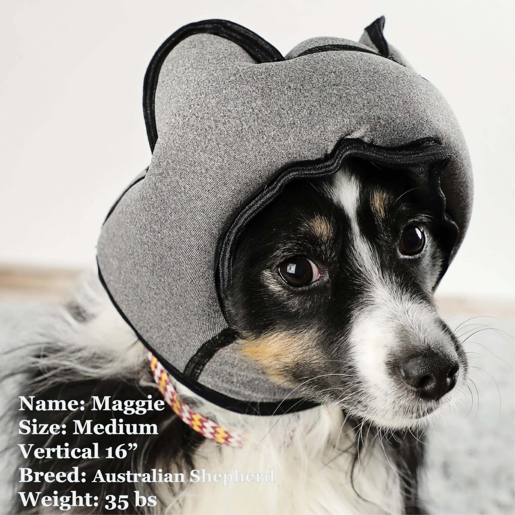 Noise-Cancelling Headphones For Dogs