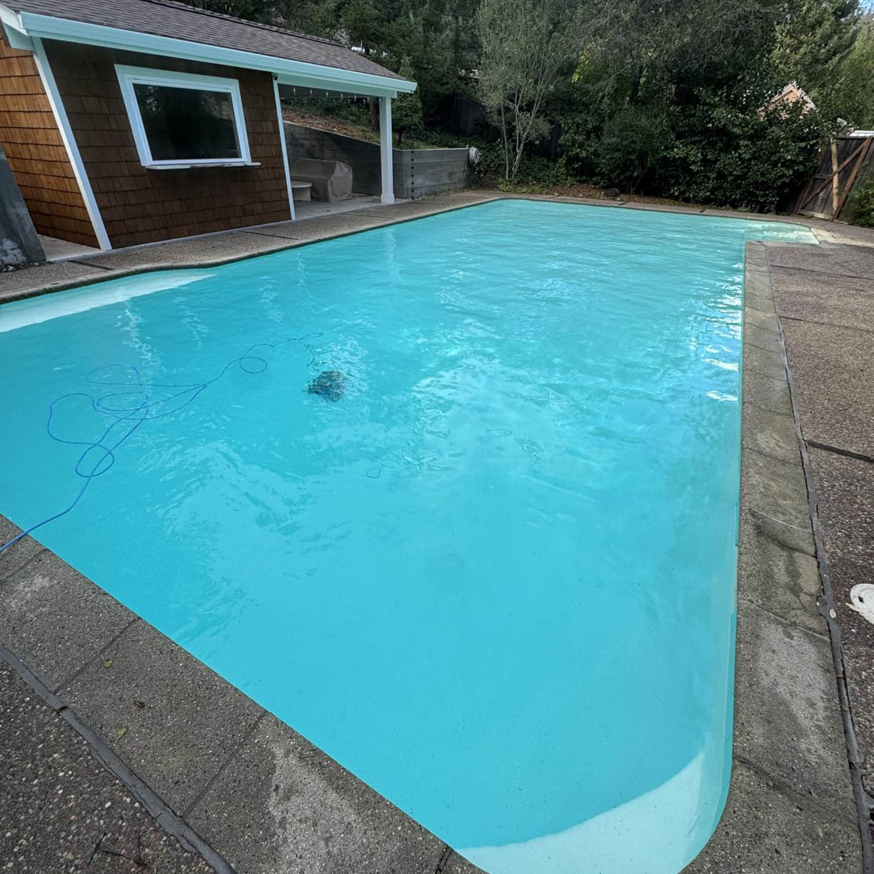 Swimming Pool Leaf Vacuum – Premier Collection