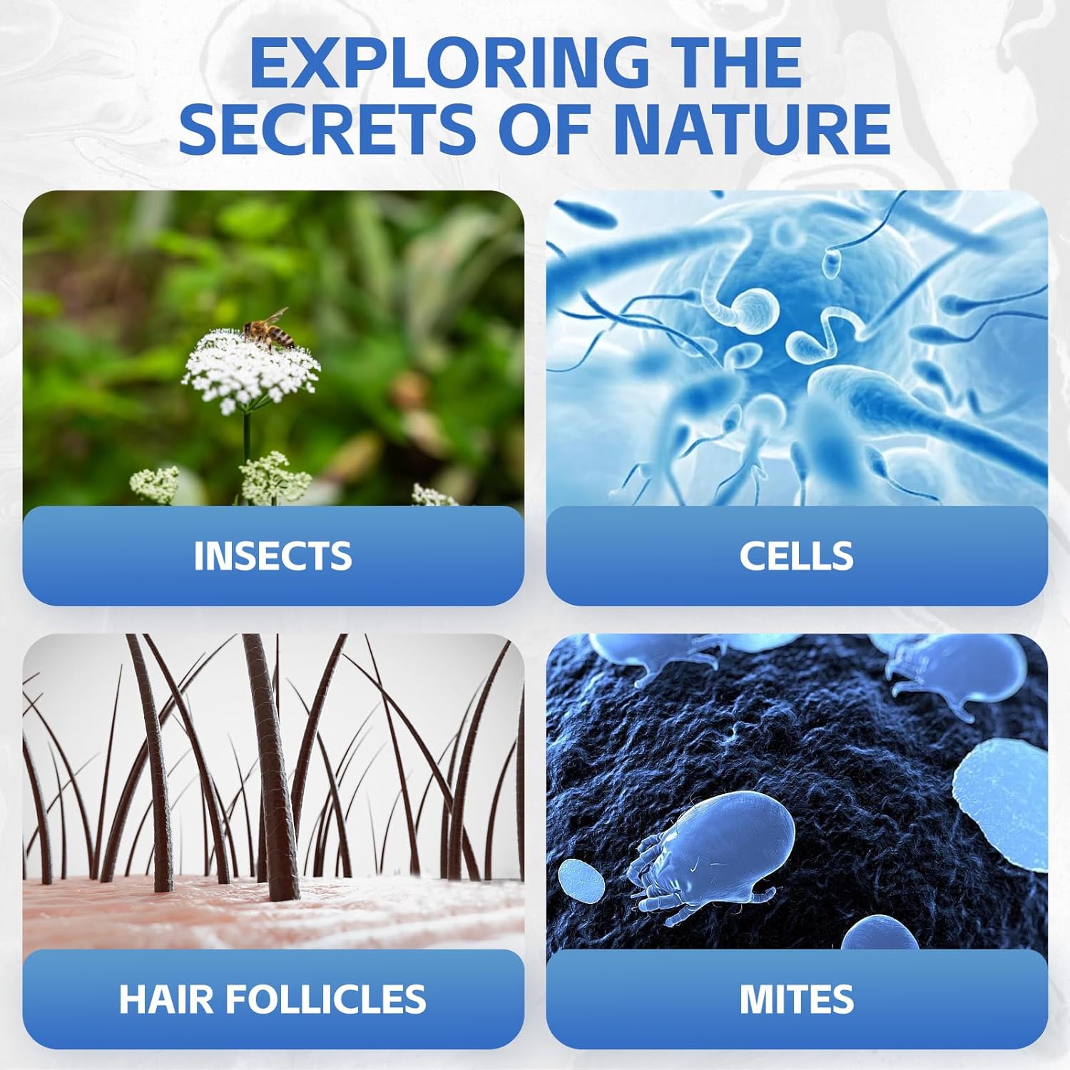 Portable Magnifier for Sperm Activity Detection (Single Use) – High Magnification Function