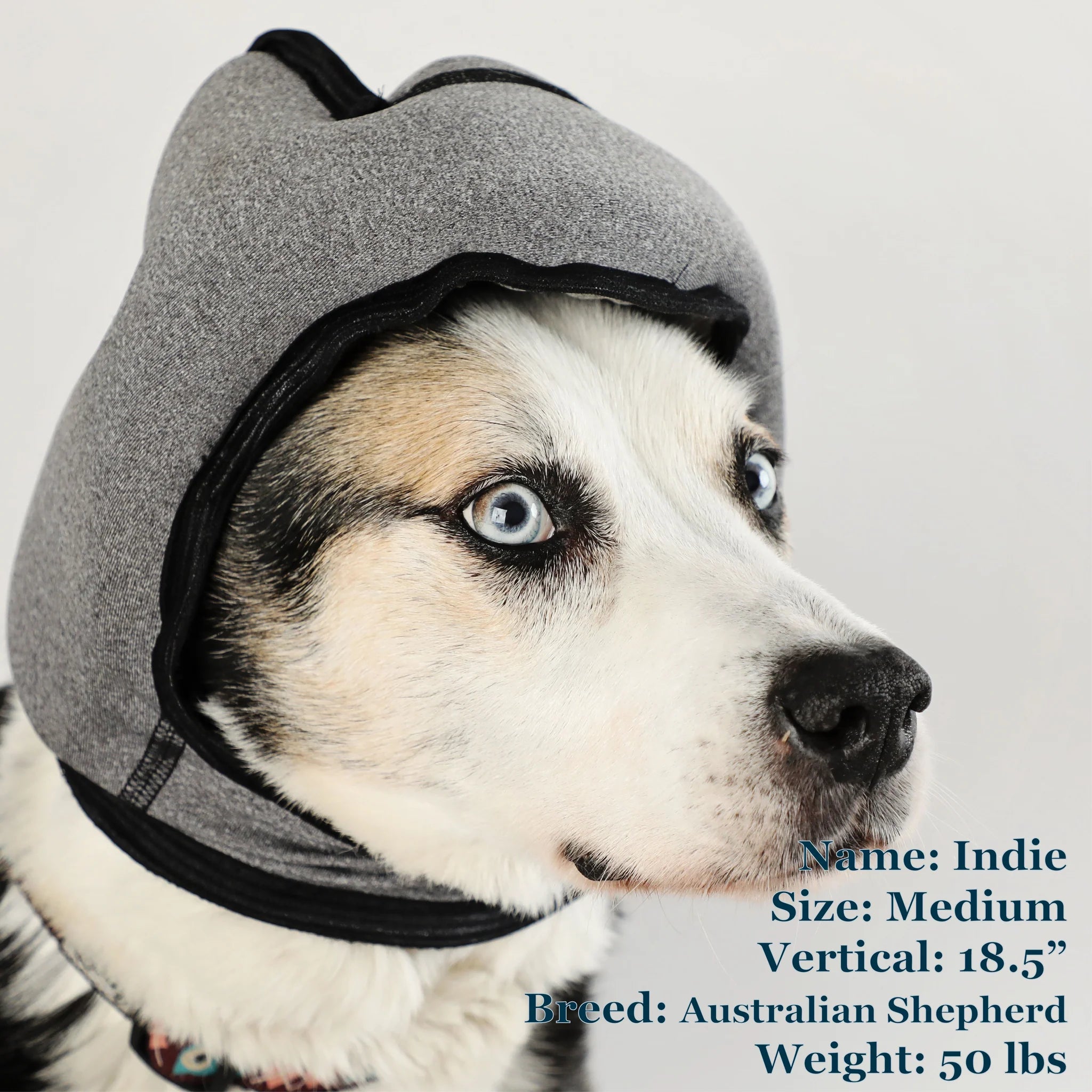 Noise-Cancelling Headphones For Dogs