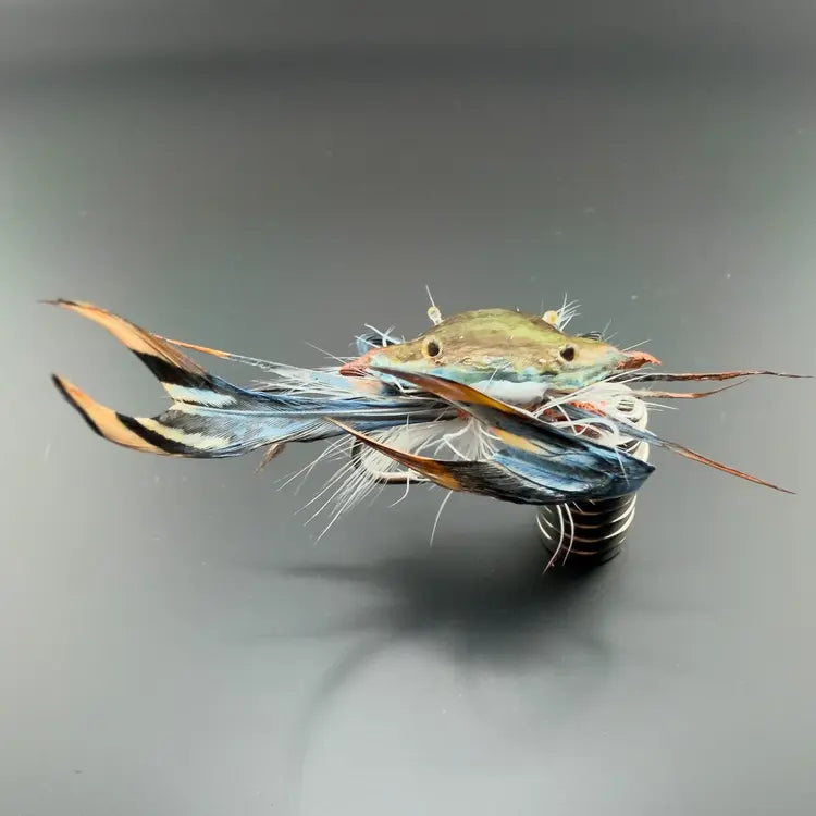 Bring Your Tackle Box to Life