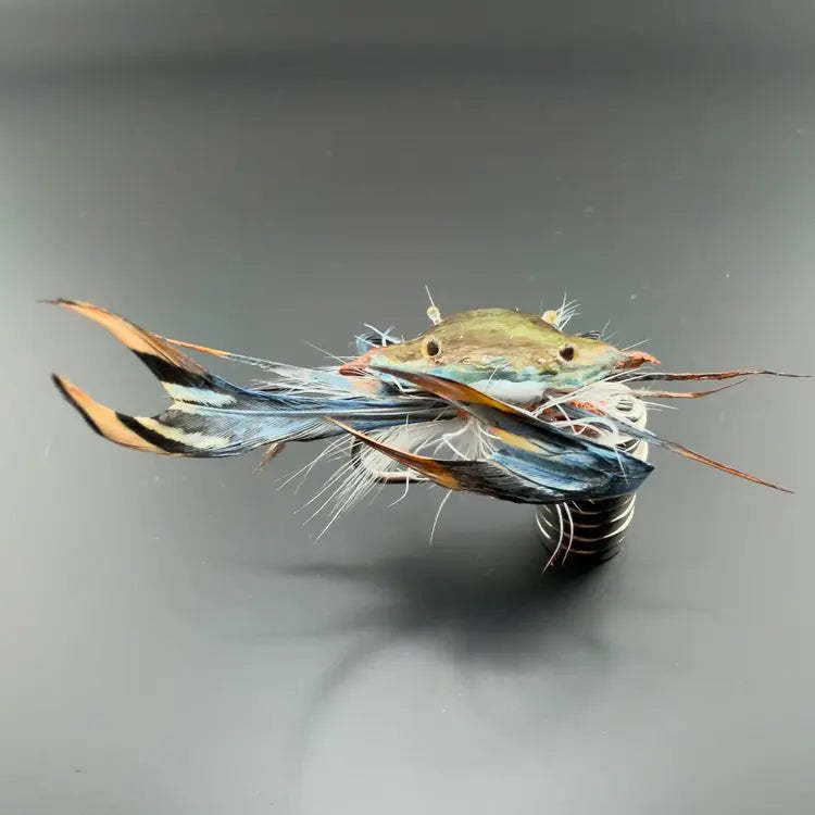 Bring Your Tackle Box to Life