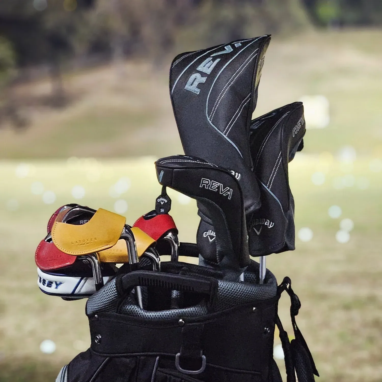 Leather Magnetic Iron Covers ✨