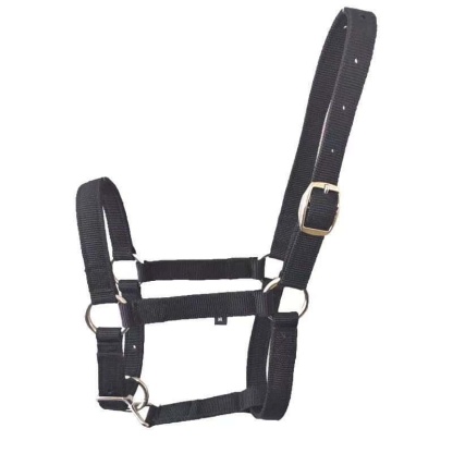 🐴 Weanling/Pony Nylon Halter – Premium Fit & Durability