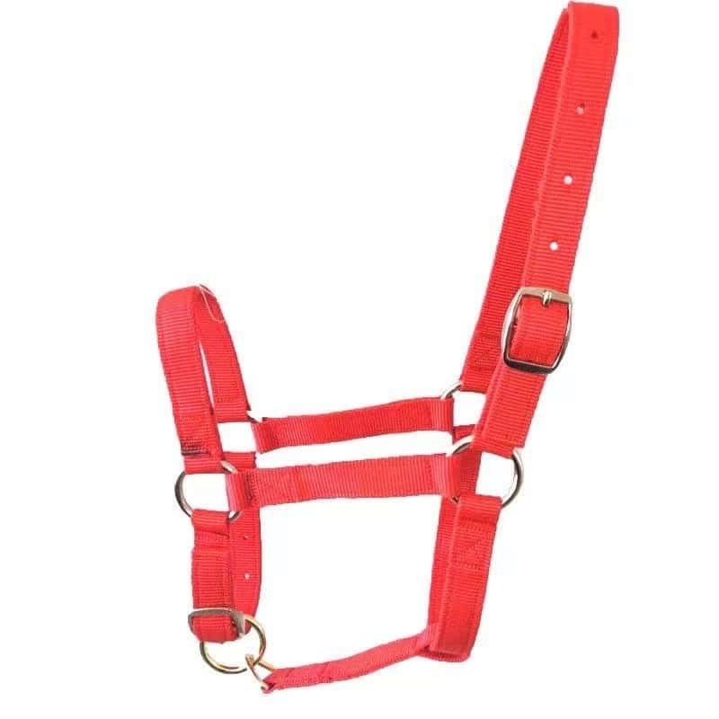 🐴 Weanling/Pony Nylon Halter – Premium Fit & Durability