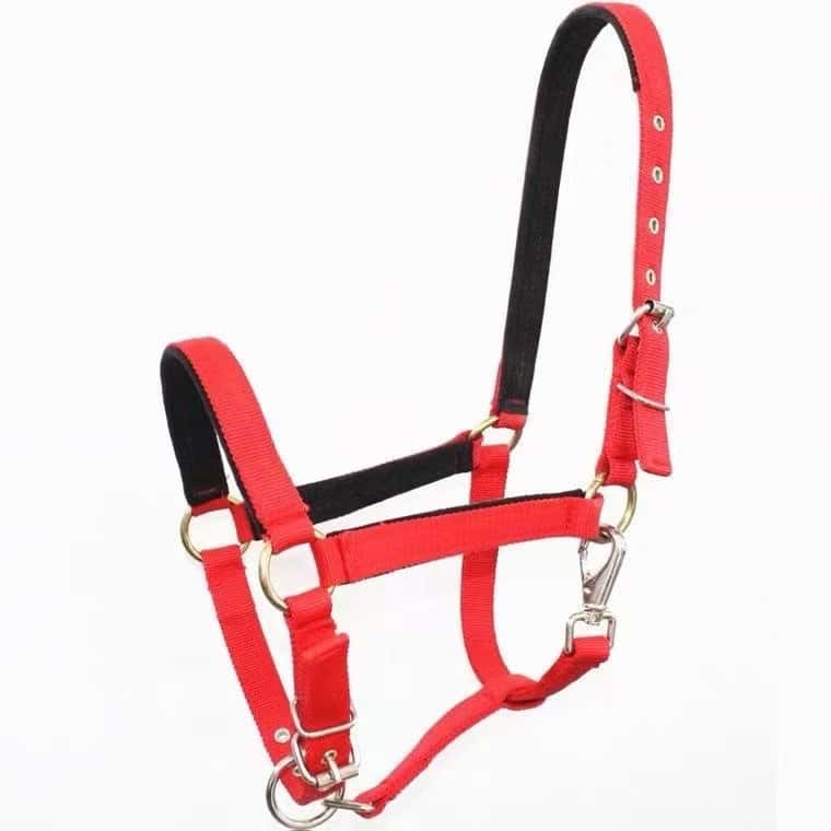 🐴 Weanling/Pony Nylon Halter – Premium Fit & Durability