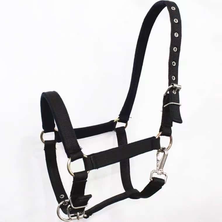 🐴 Weanling/Pony Nylon Halter – Premium Fit & Durability