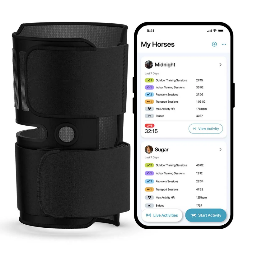Equine Wellness Monitoring System – Real-Time Horse Activity & Health Tracker