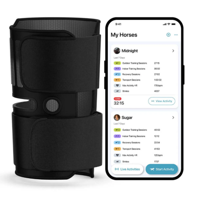 Equine Wellness Monitoring System – Real-Time Horse Activity & Health Tracker