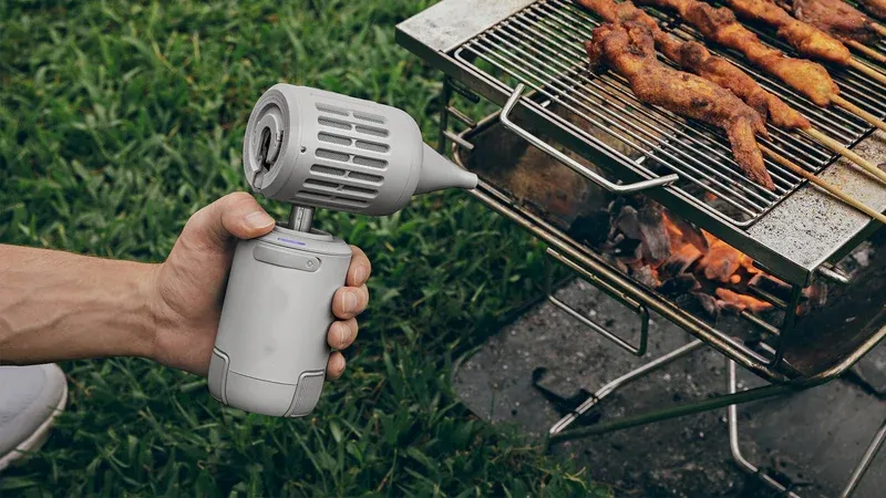 Multi-functional outdoor fan