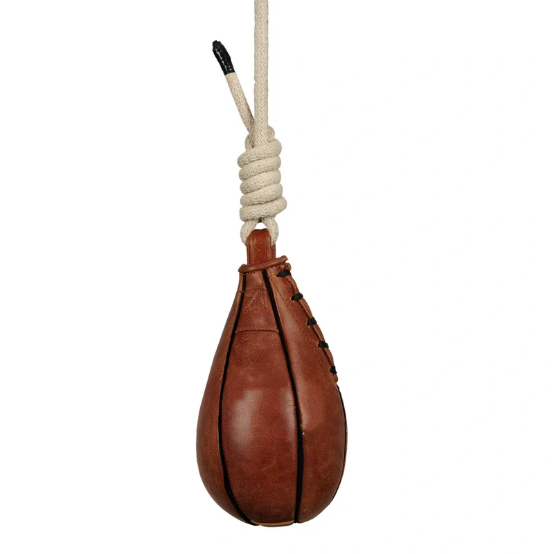 Professional boxing training speed bag