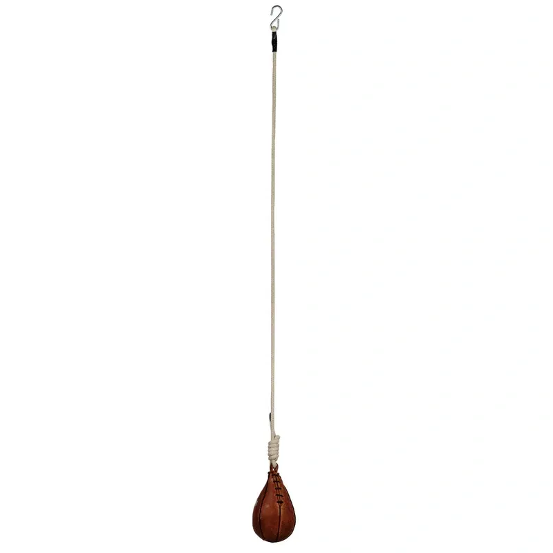 Professional boxing training speed bag