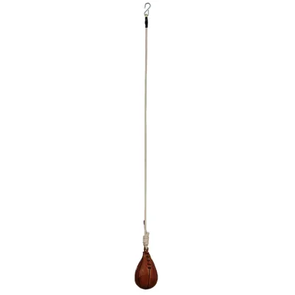 Professional boxing training speed bag
