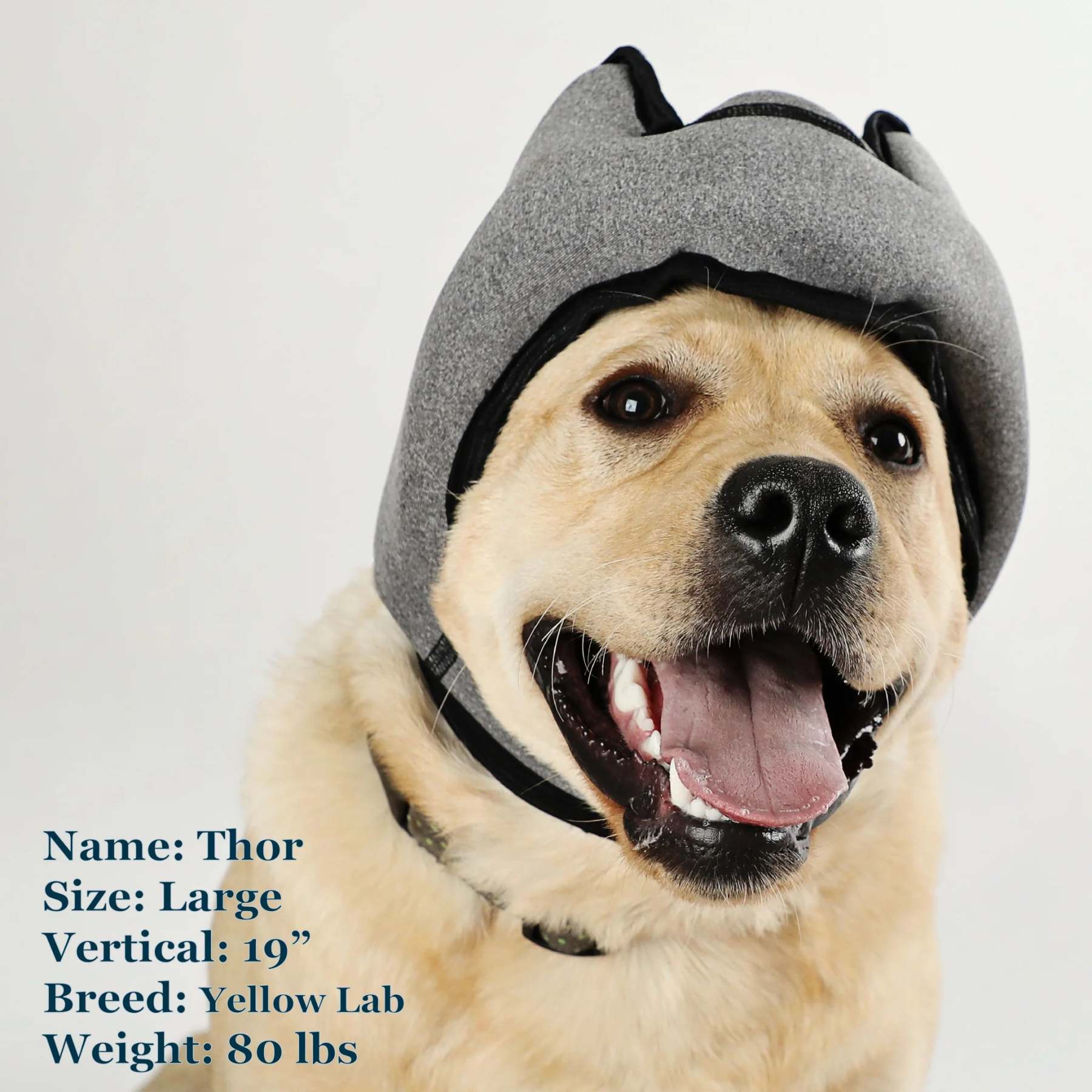 Noise-Cancelling Headphones For Dogs