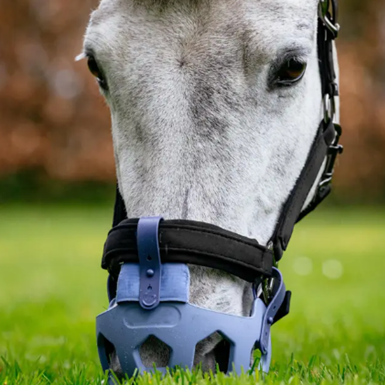 Horse Grazing Muzzle – Limits Intake While Allowing Free Drinking & Breathing
