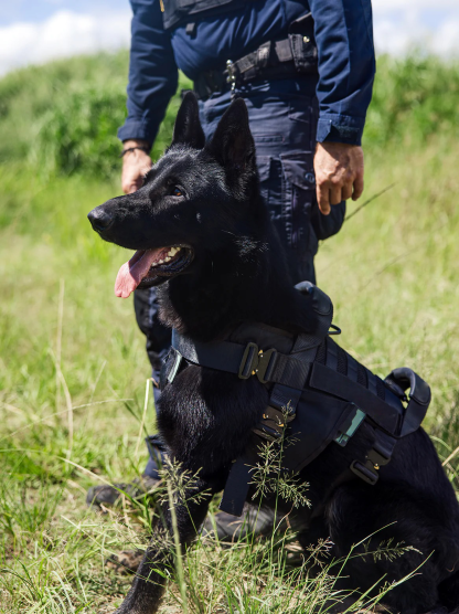 Tactical cooling dog harness