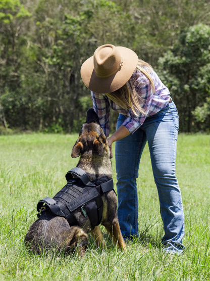 Tactical cooling dog harness