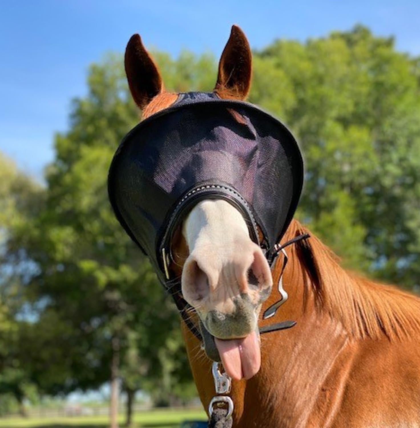 Sun protection fly mask