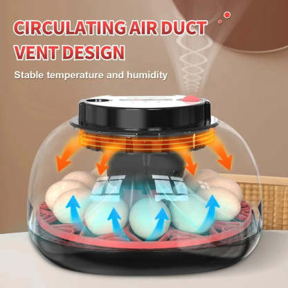 Automatic Egg-Turning Incubator