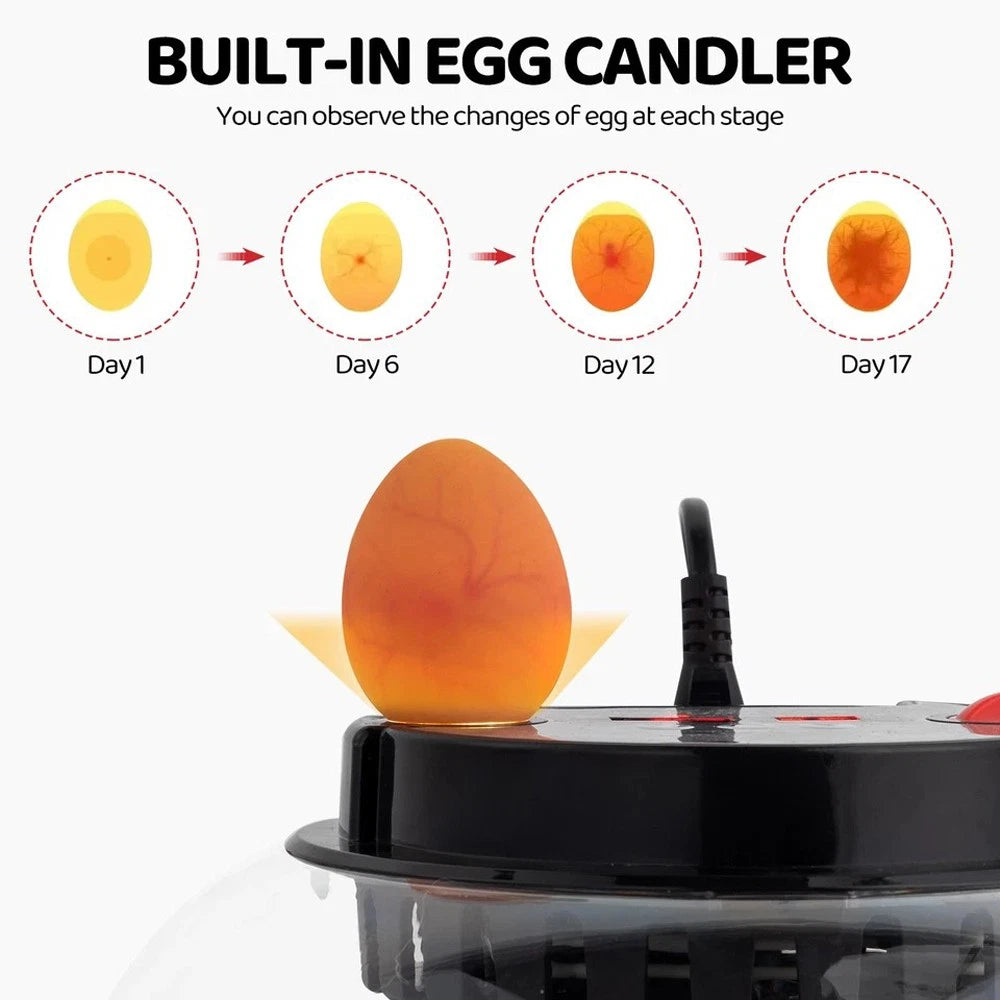 Automatic Egg-Turning Incubator