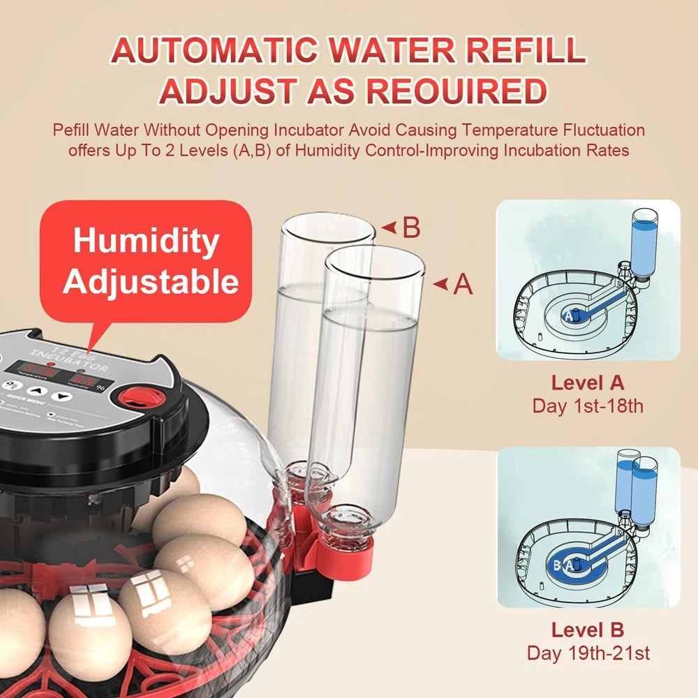 Automatic Egg-Turning Incubator