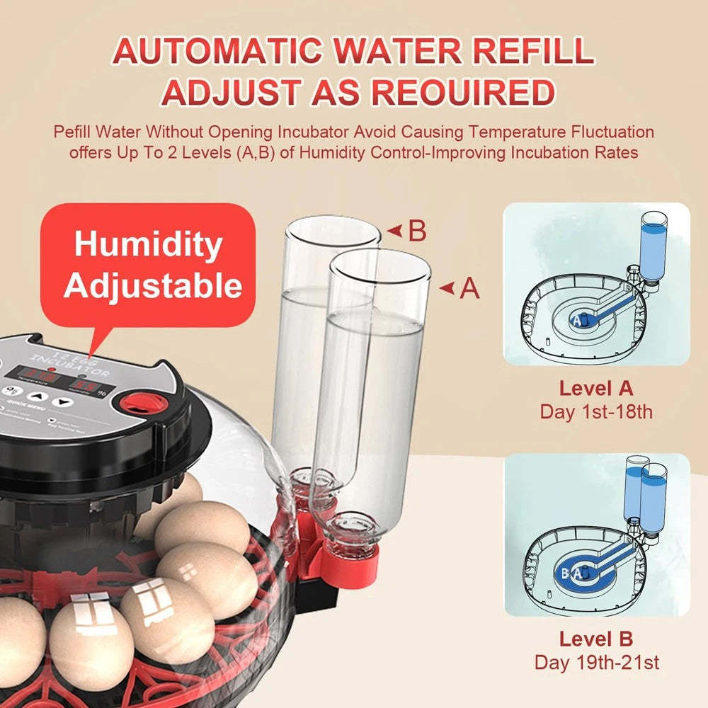 Automatic Egg-Turning Incubator
