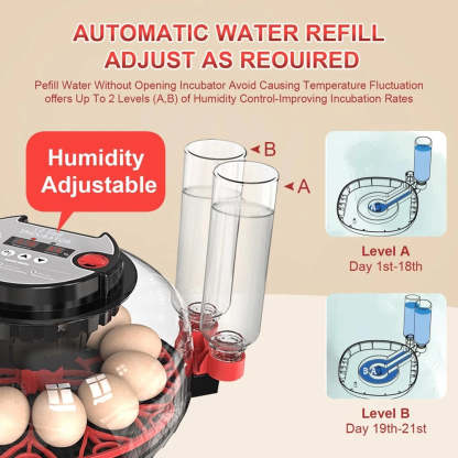 Automatic Egg-Turning Incubator