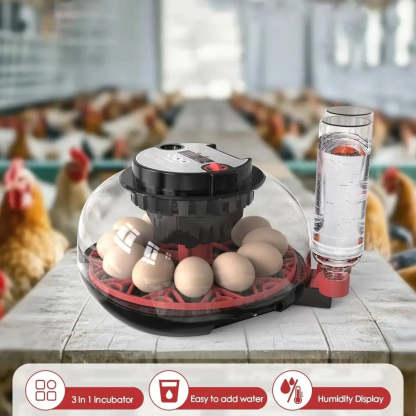 Automatic Egg-Turning Incubator