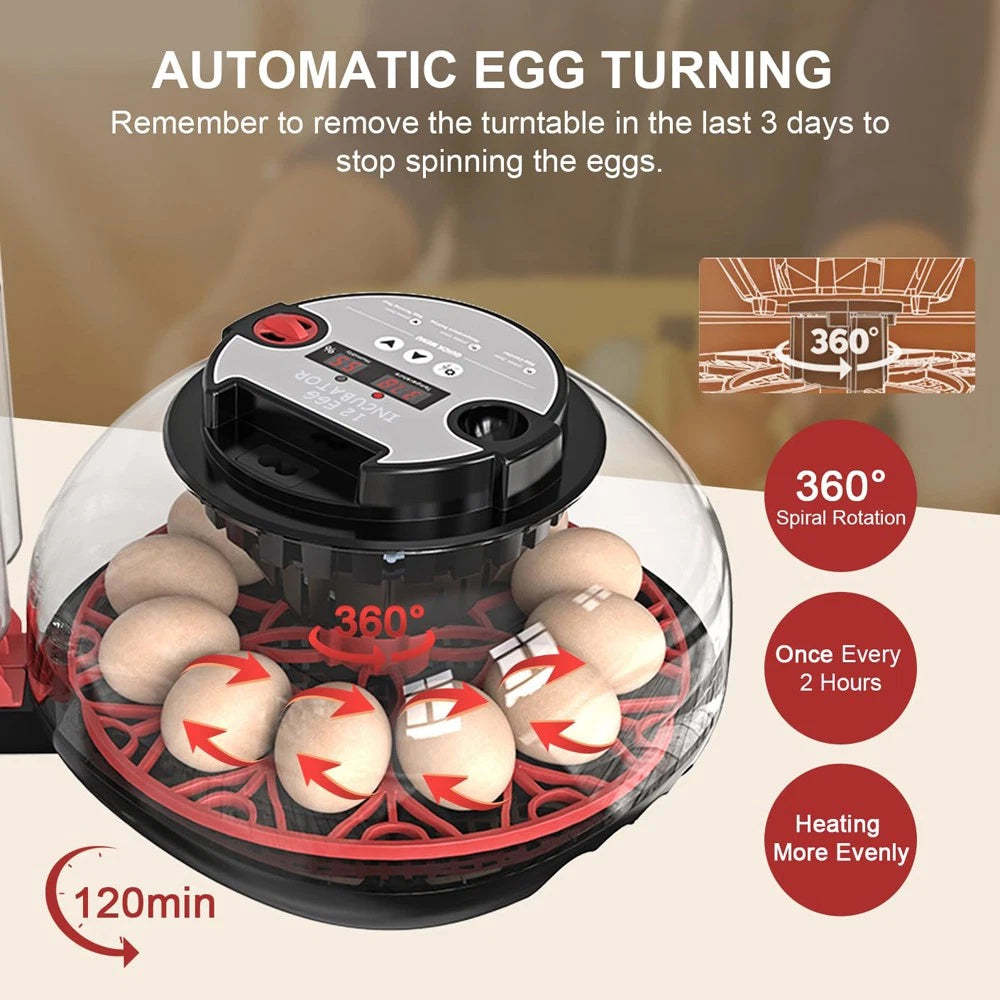 Automatic Egg-Turning Incubator