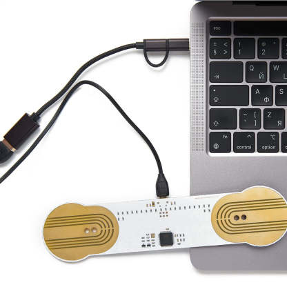 MIDI Controller – Turn Skin, Water, or Flowers into Sound