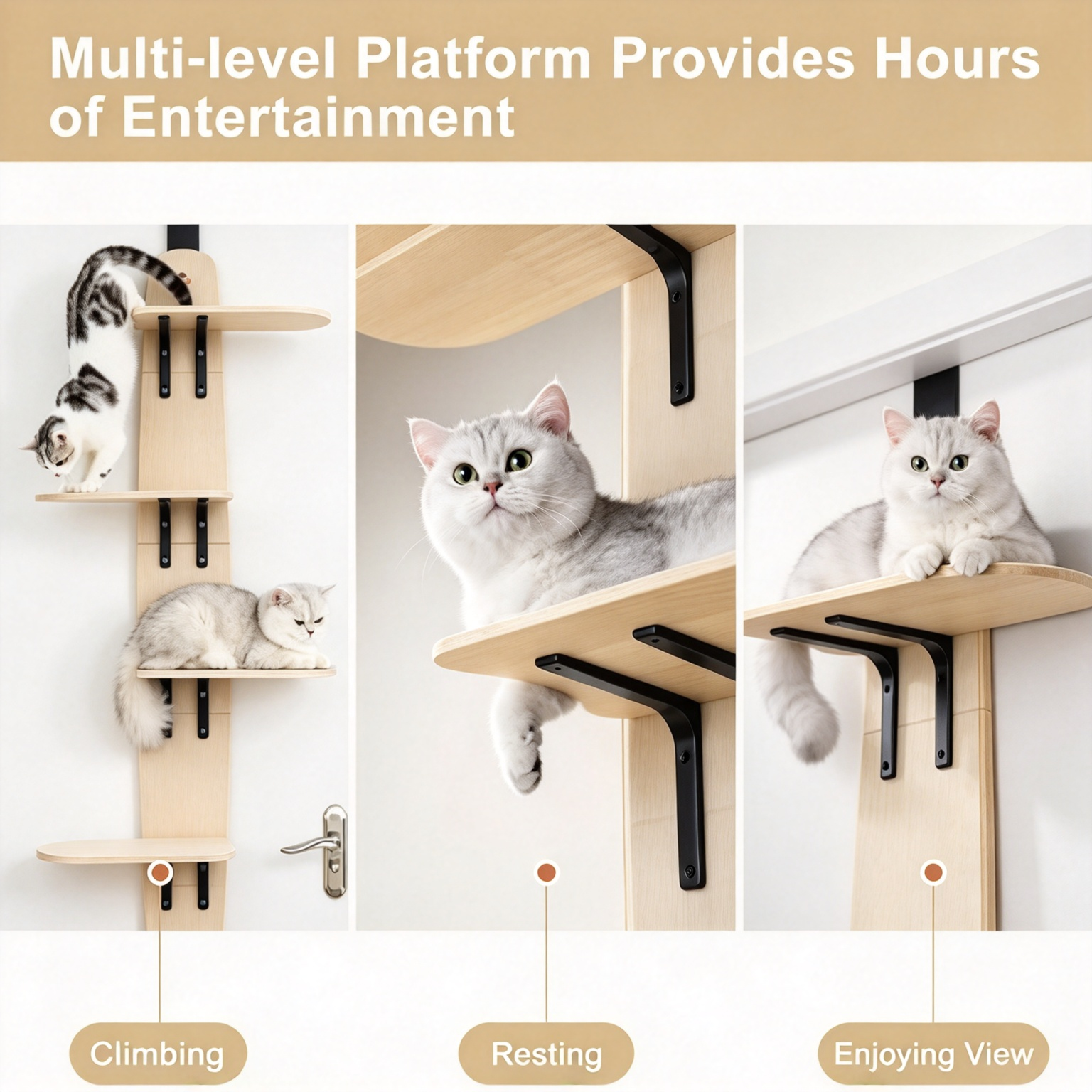 Over-the-Door Cat Tree – 4-Tier Hanging Cat Shelf