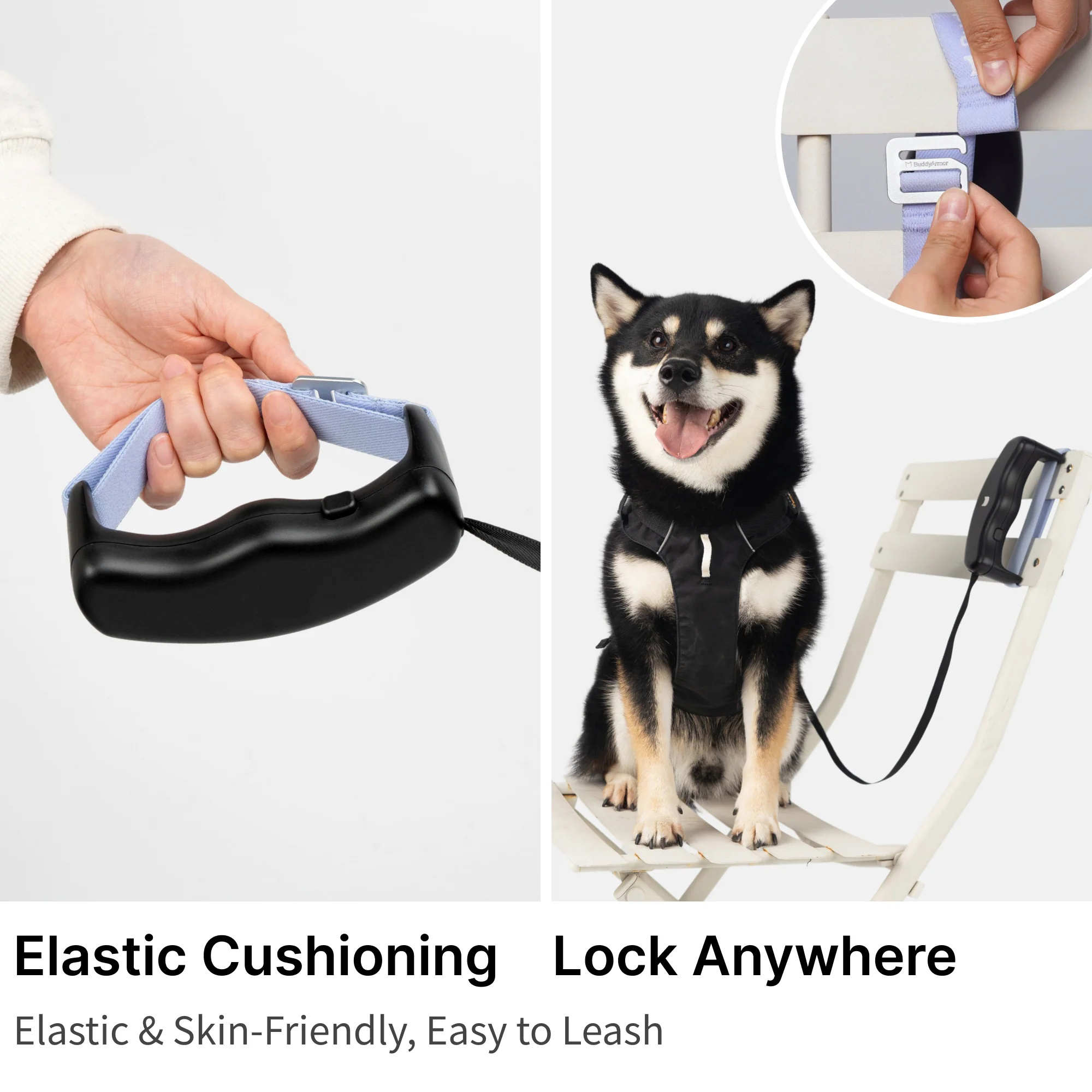 Retractable Dog Leash – Freedom for Them, Control for You