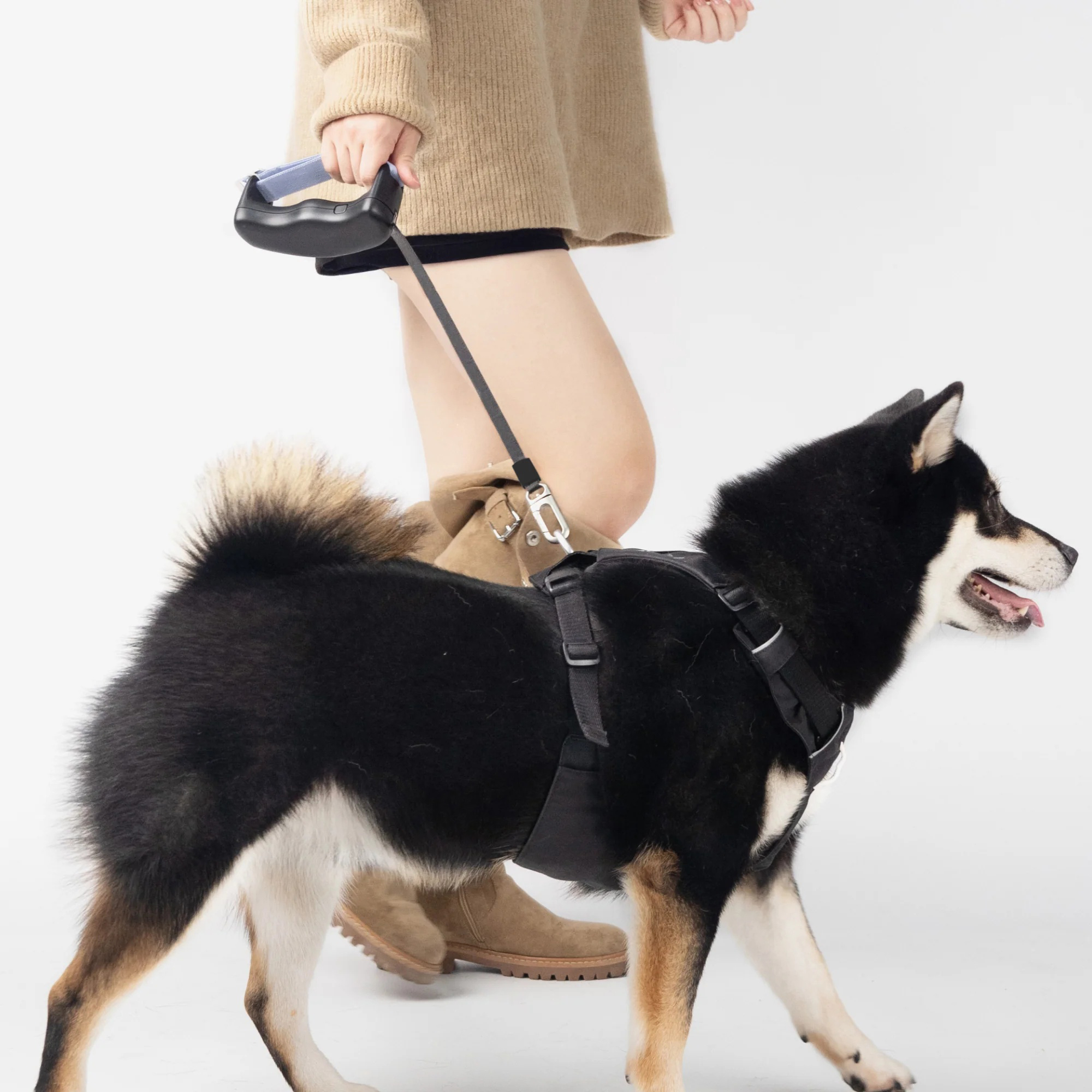 Retractable Dog Leash – Freedom for Them, Control for You