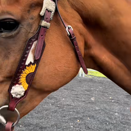 Sunflower Halter & Chest Strap Set – Premium Leather Horse Tack