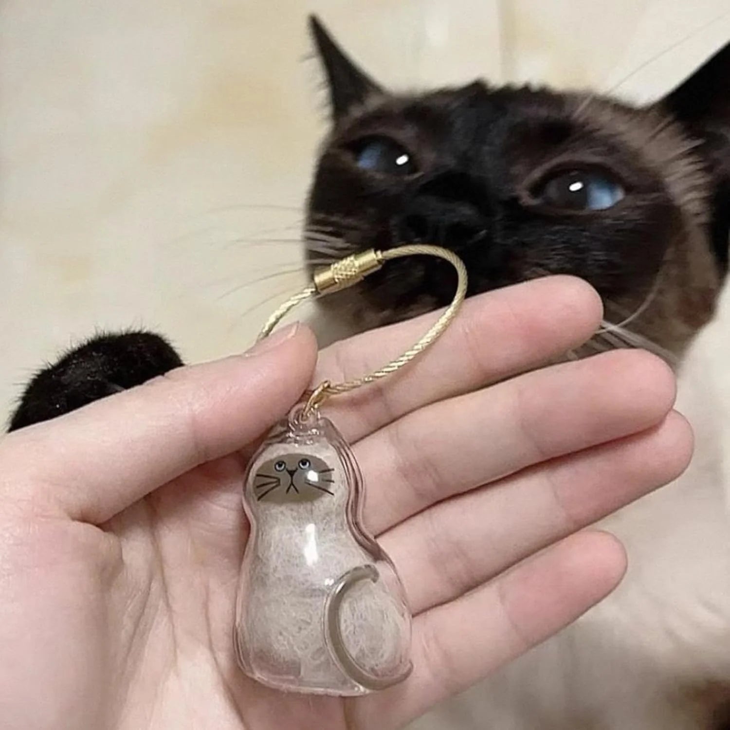 Cat Hair Memory Capsule Pendant - Transparent Cat Hair Storage Bottle, Cat Hair Memory Keychain