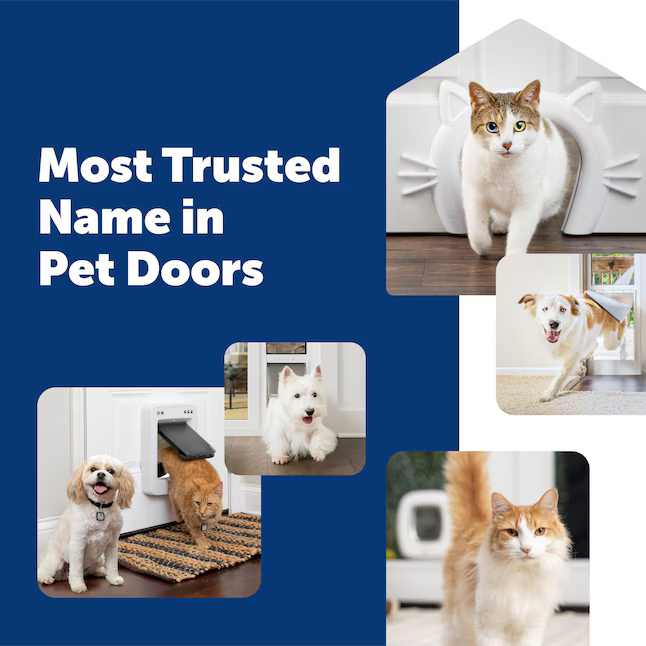 Small Pet Door — Cat & Small Dog Door for Interior or Exterior Doors