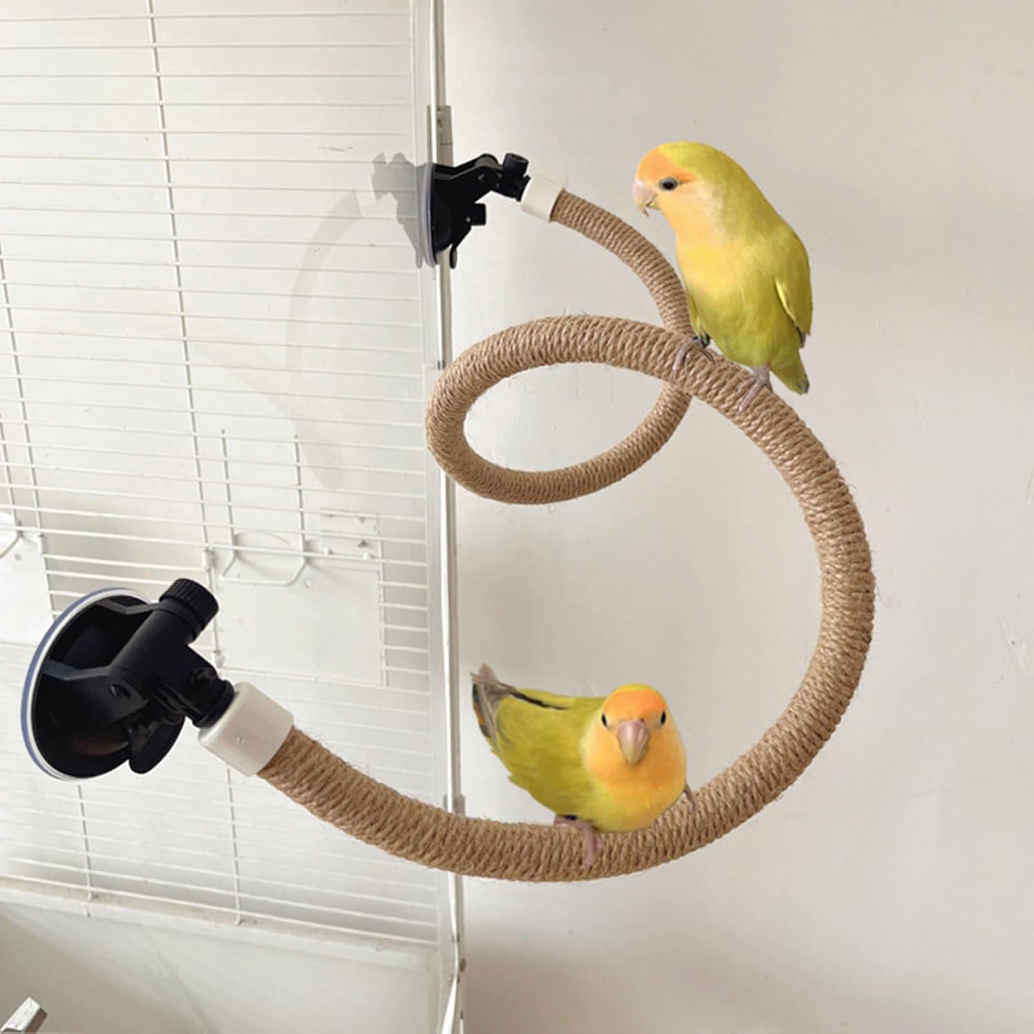 Bird Standing Perch with Suction Cup – Bendable Rope Climbing Toy