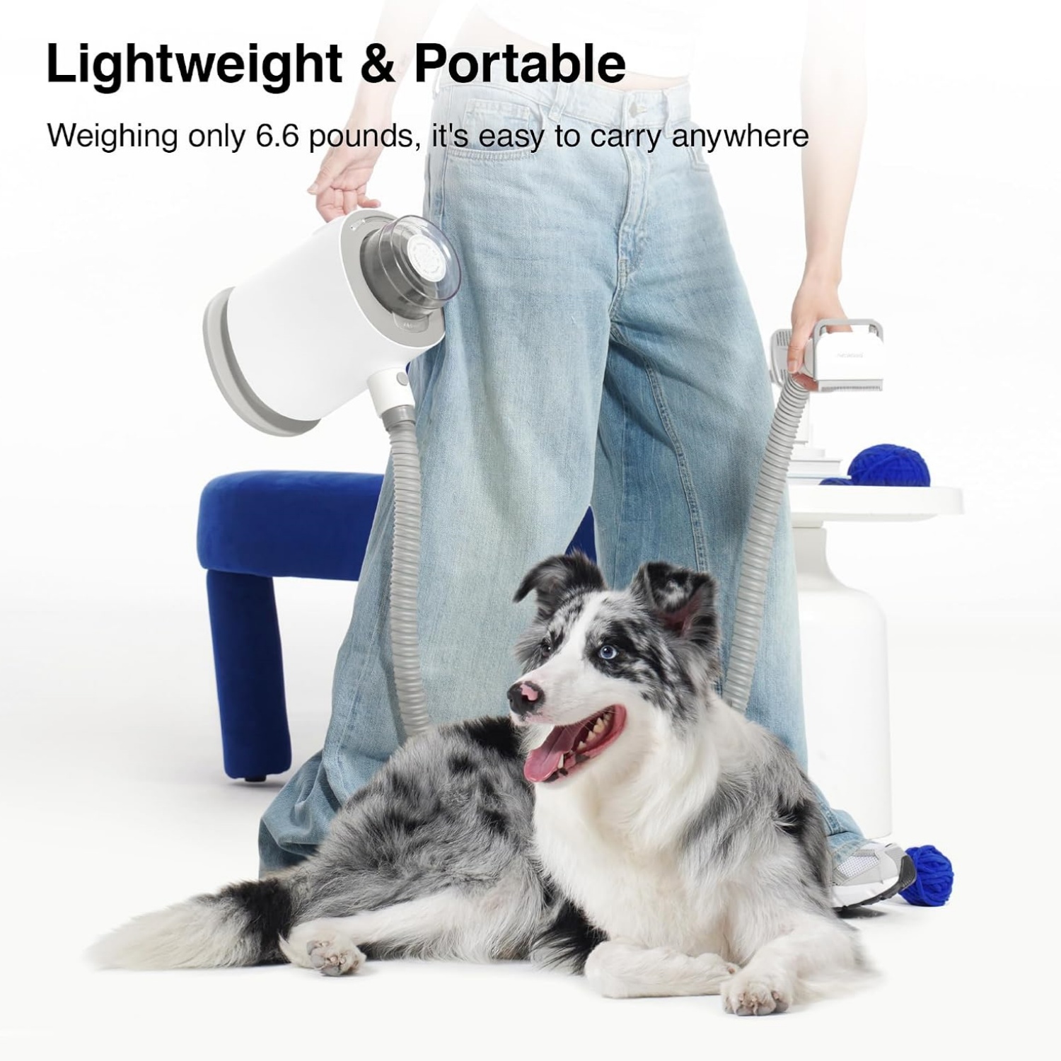 Pet Grooming Kit – with Vacuum Suction