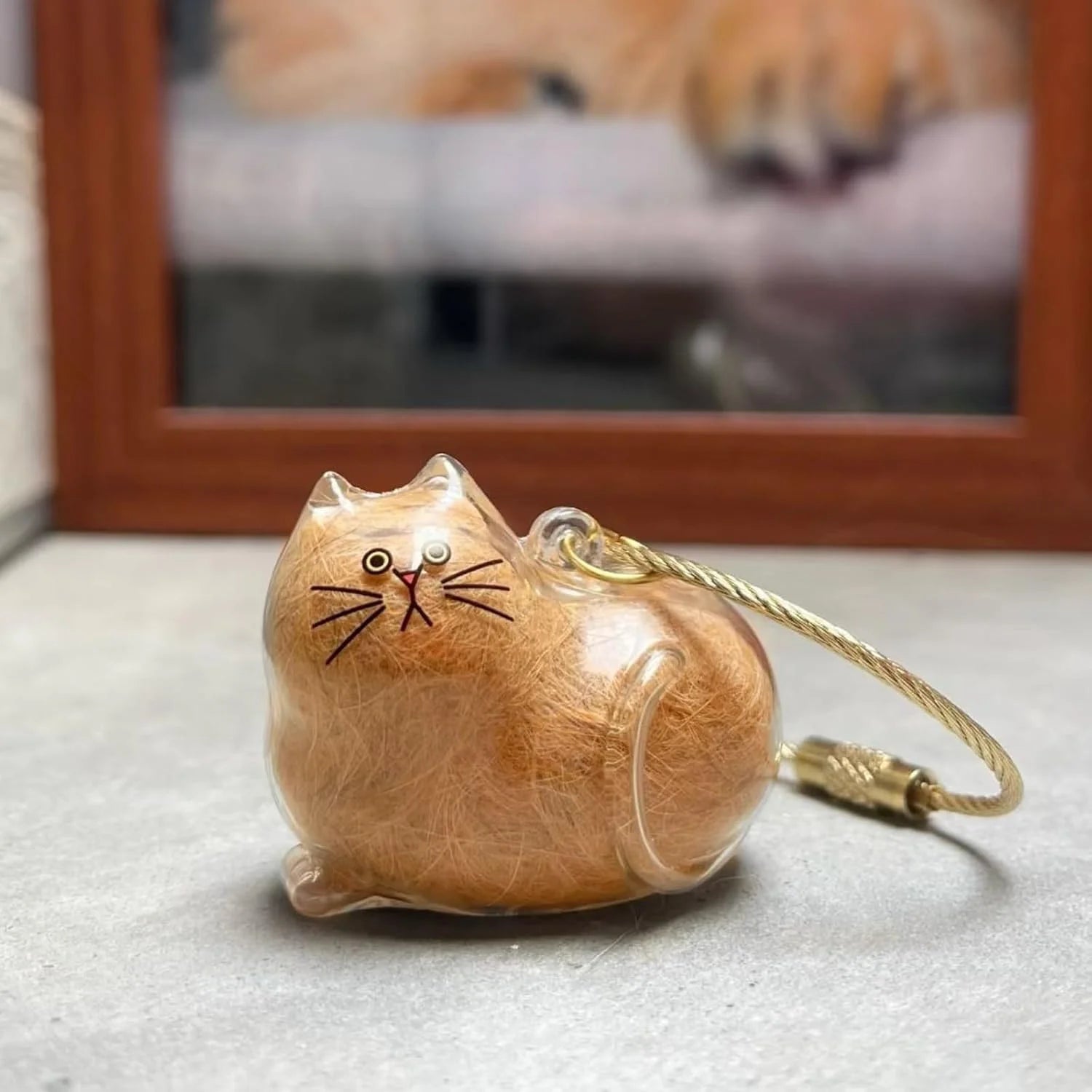 Cat Hair Memory Capsule Pendant - Transparent Cat Hair Storage Bottle, Cat Hair Memory Keychain