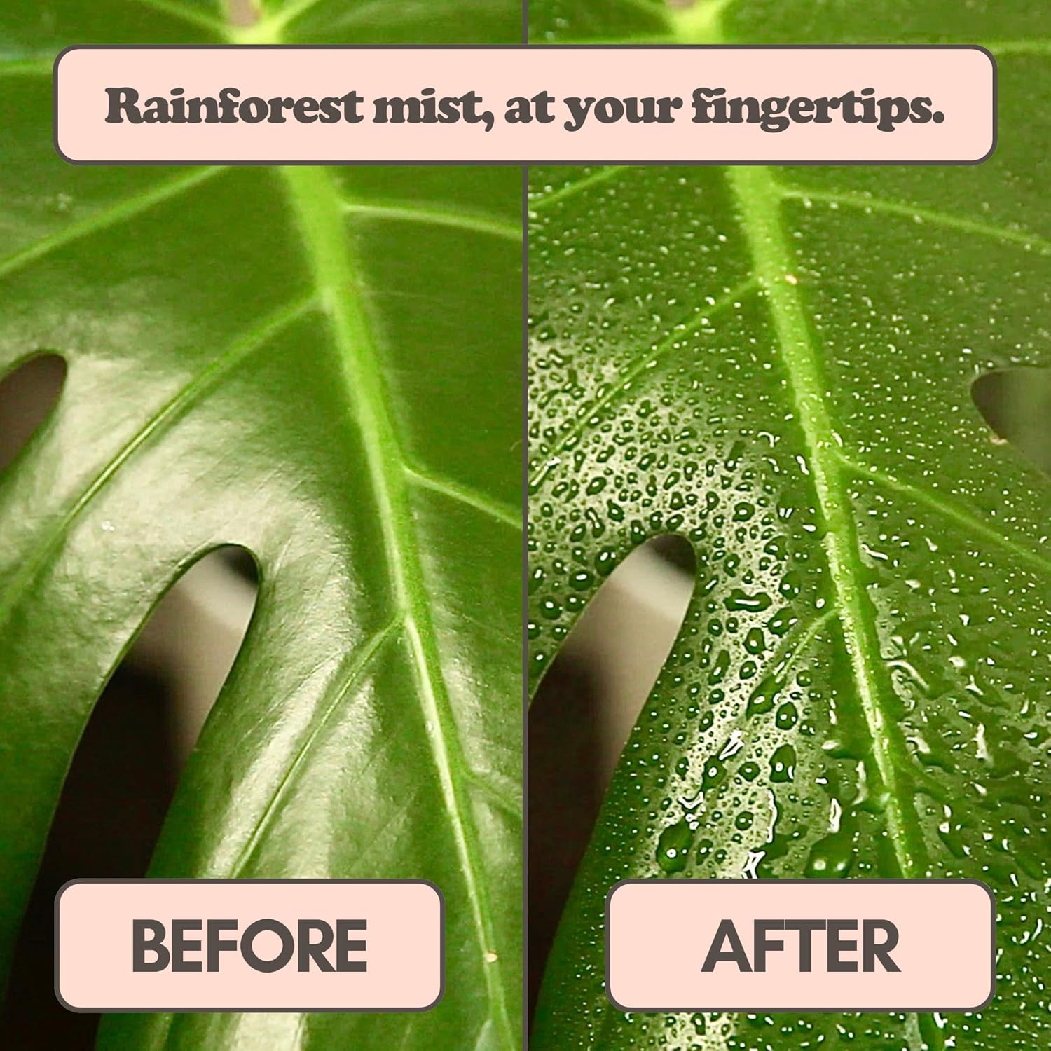 Electric plant sprayer with USB rechargeable