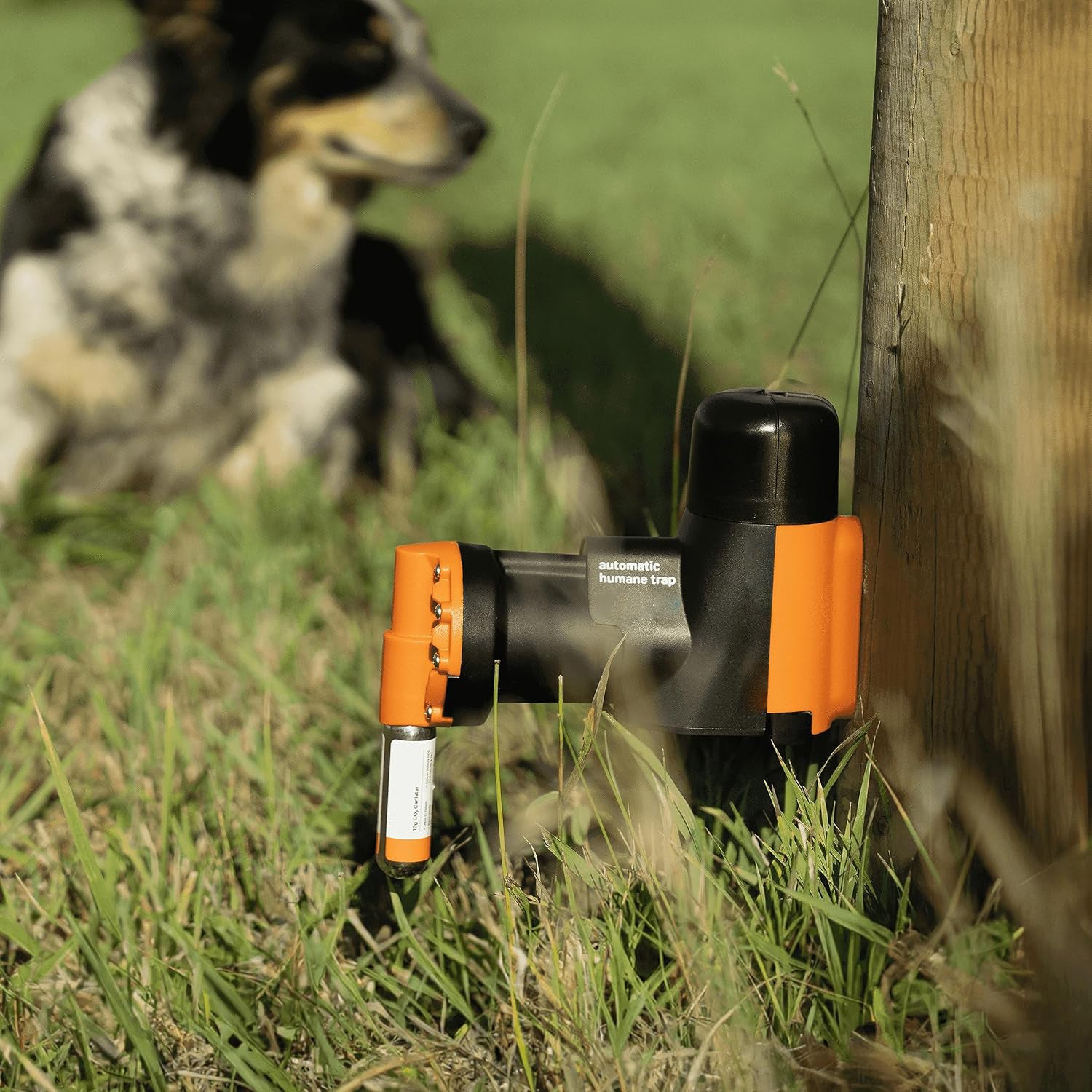 Entry-Level Trap Kit – Automatic Reset Rodent Trap