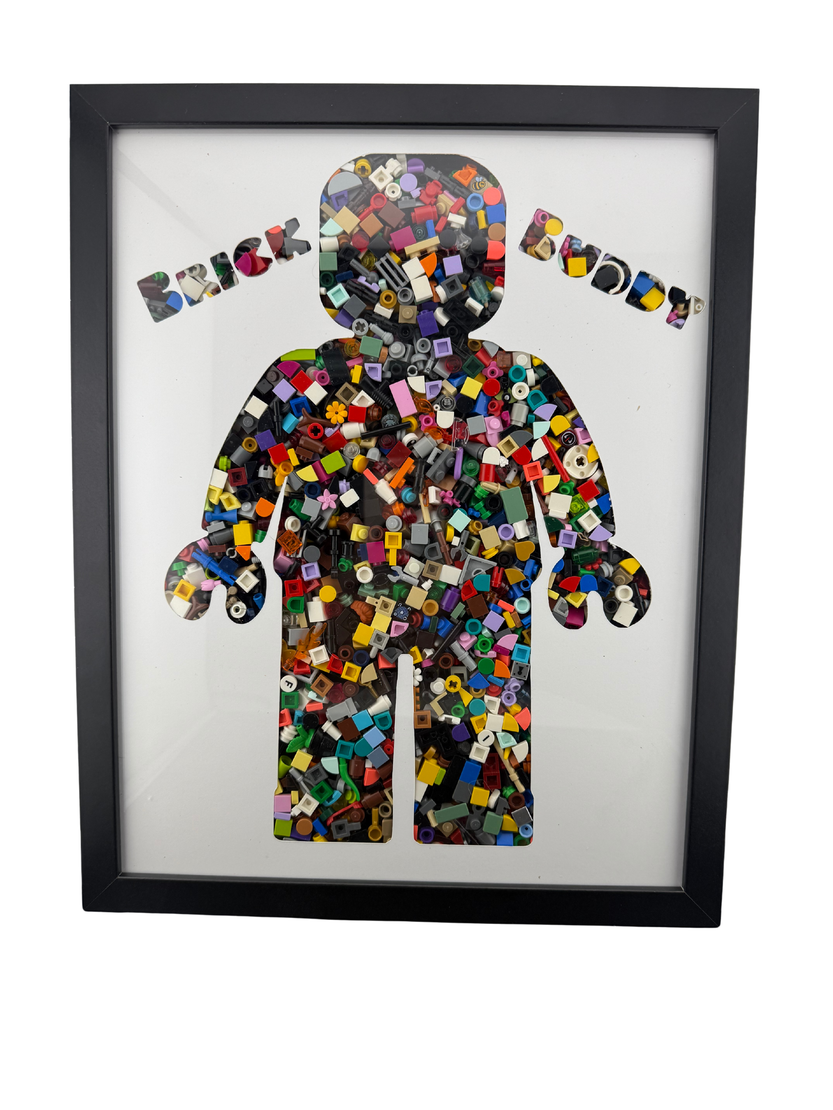 BlockVault™ – Shadowbox Organizer for Extra Building Bricks