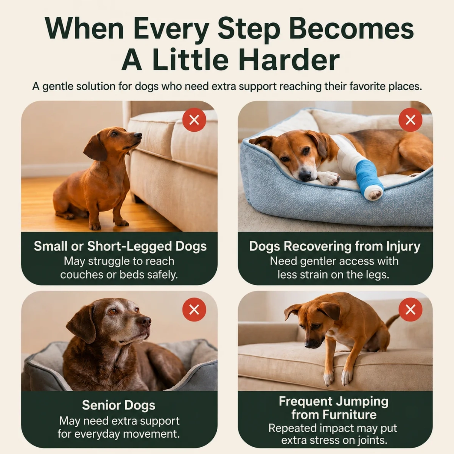 Indoor Pet Ramp – 2-in-1 Convertible Ramp & Footrest