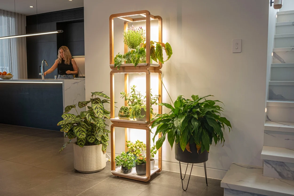Indoor plant grow light