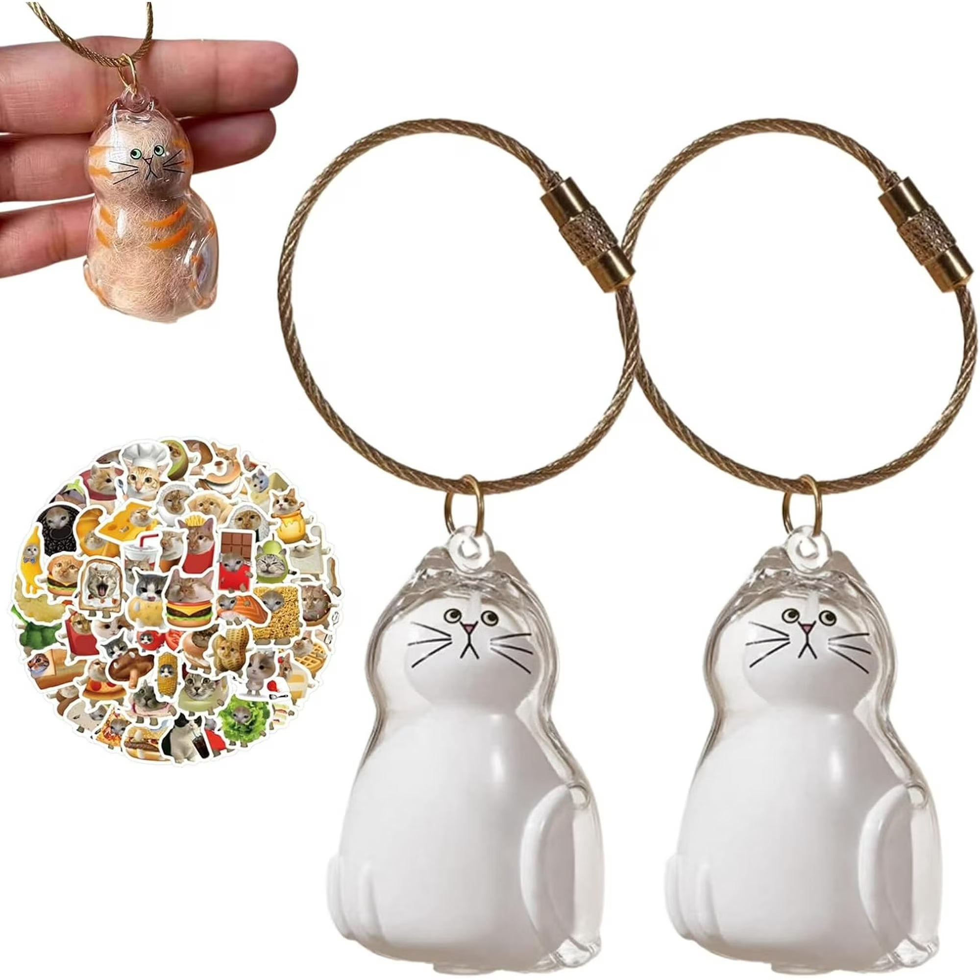 Cat Hair Memory Capsule Pendant - Transparent Cat Hair Storage Bottle, Cat Hair Memory Keychain