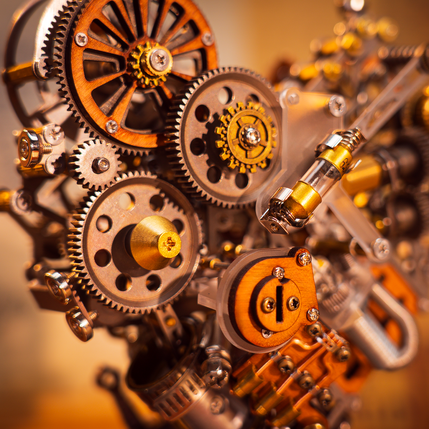 Detailed internal gear mechanism