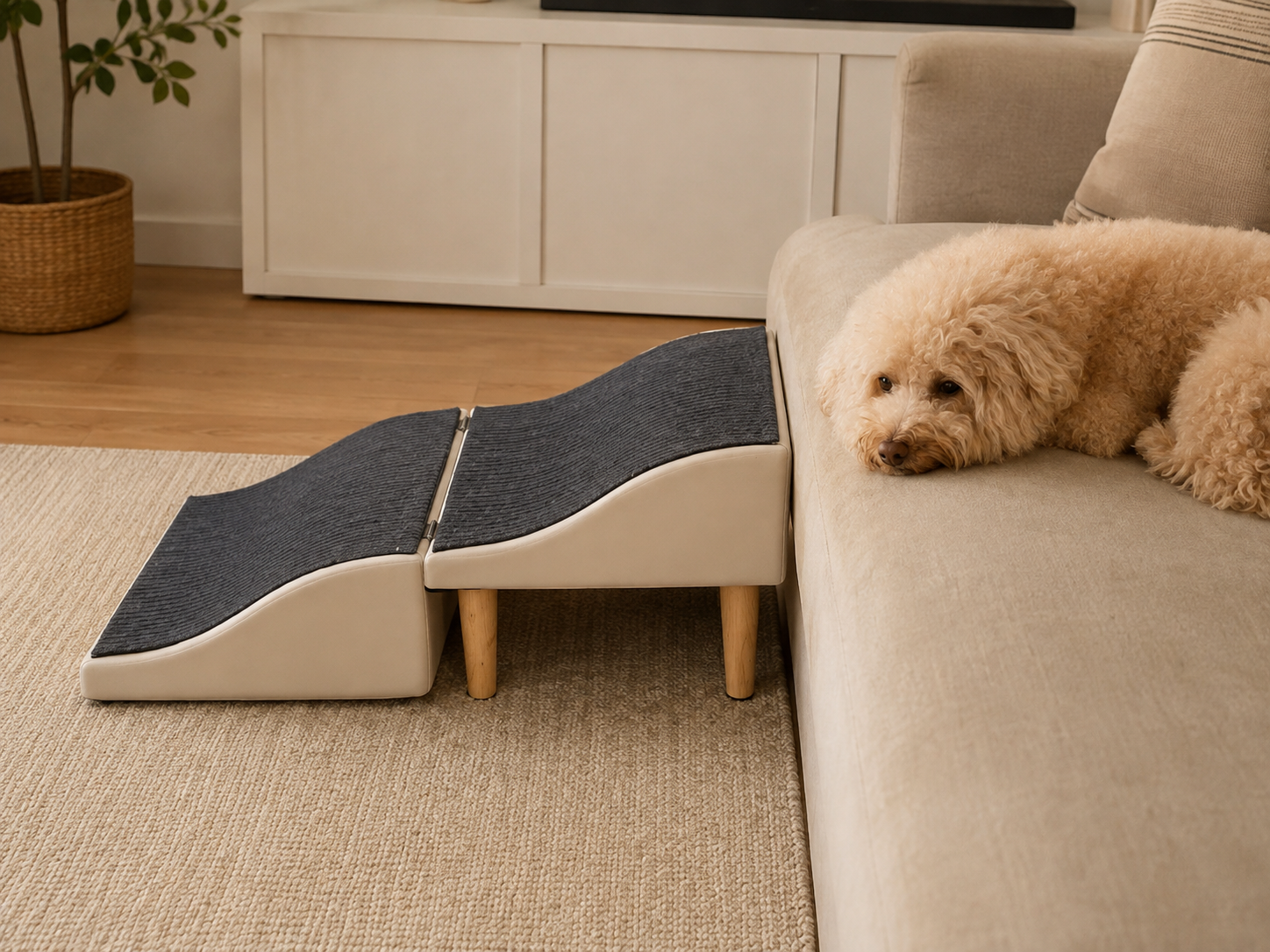 Pet using sofa ramp