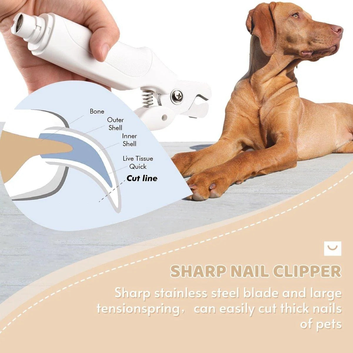 Ultra-Quiet Pet Nail Clipper and Grinder - Low Noise, LED Light, USB Rechargeable