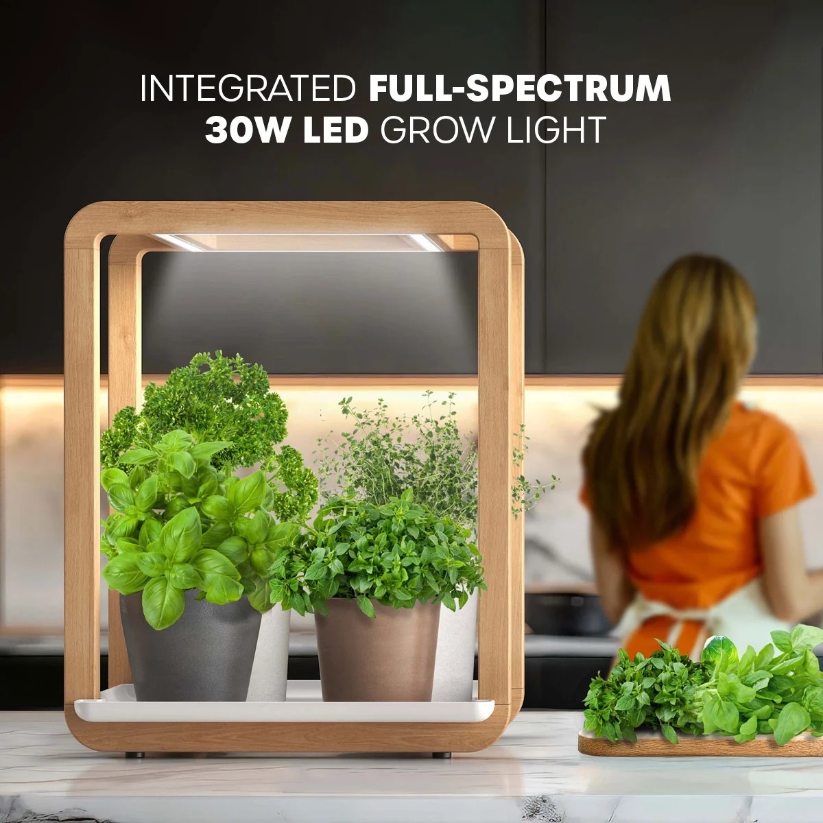 Indoor garden lifestyle